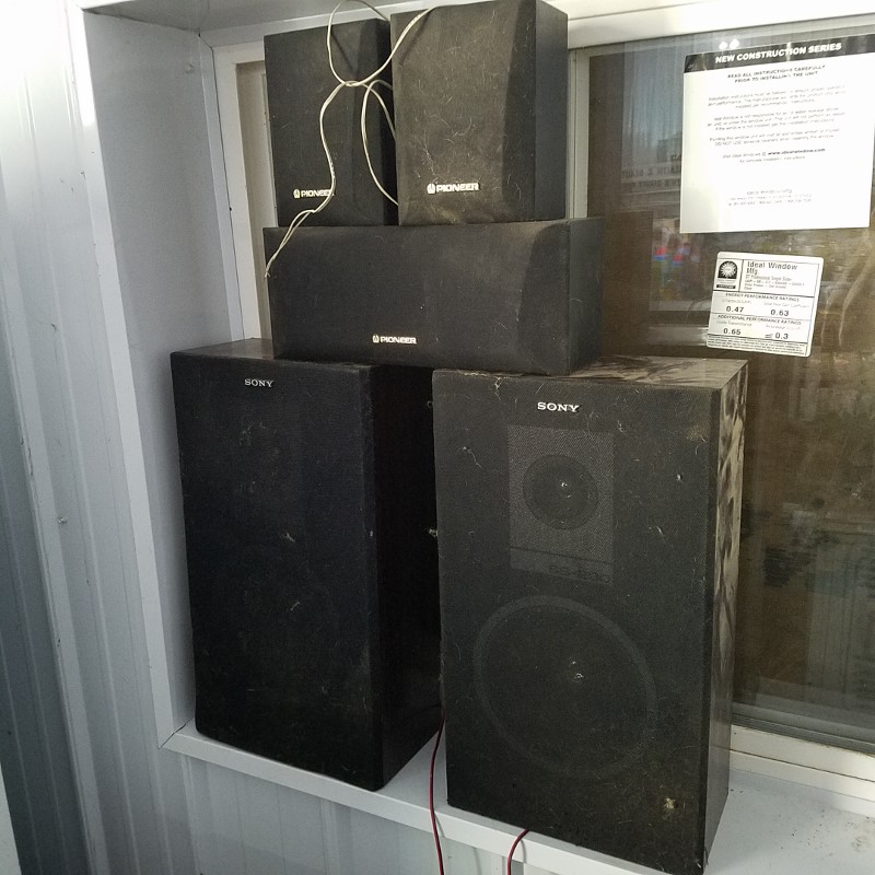 Auction Photo