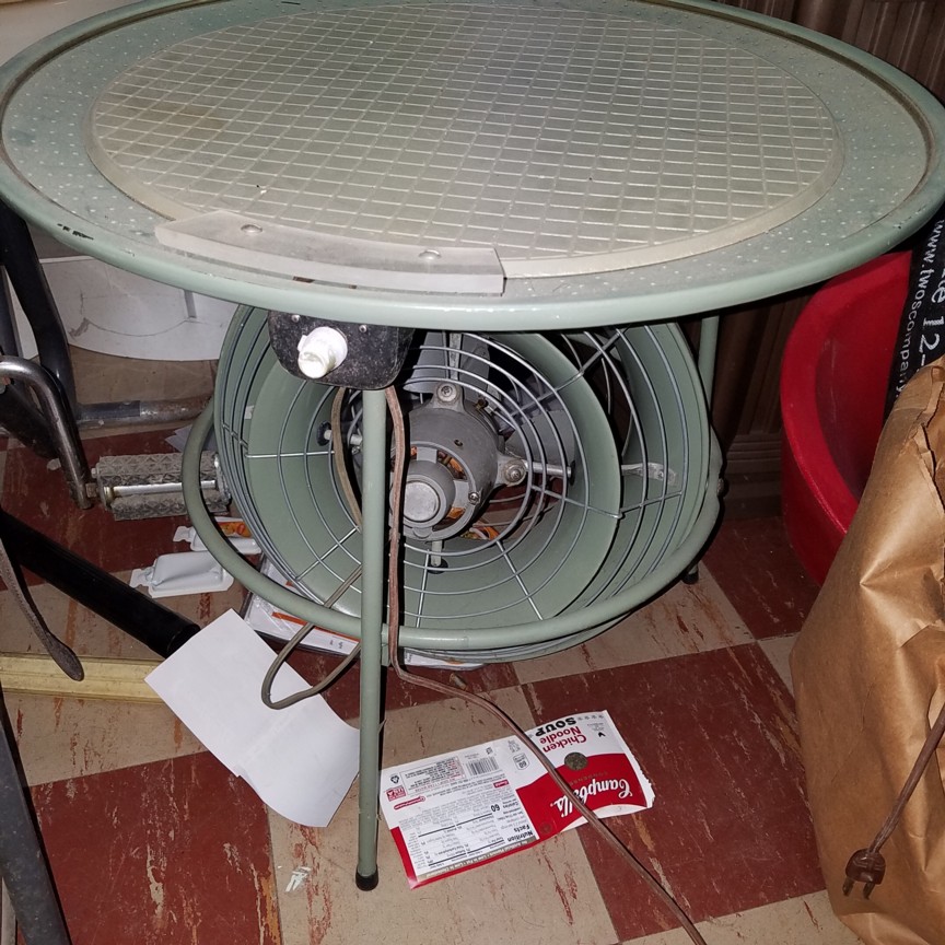 Auction Photo