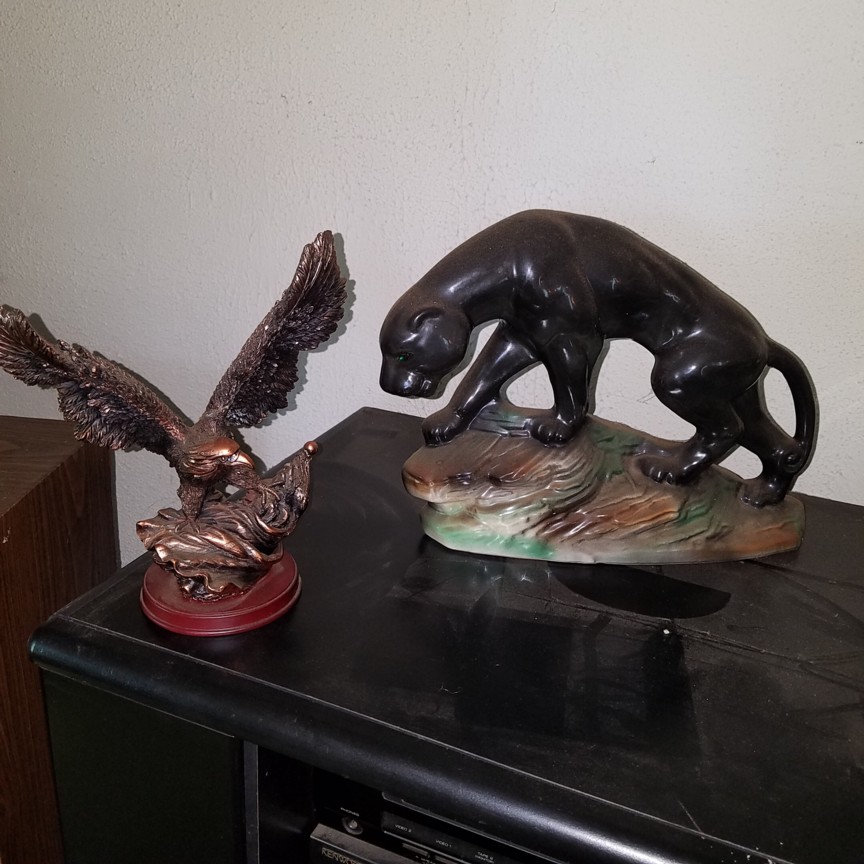 Auction Photo