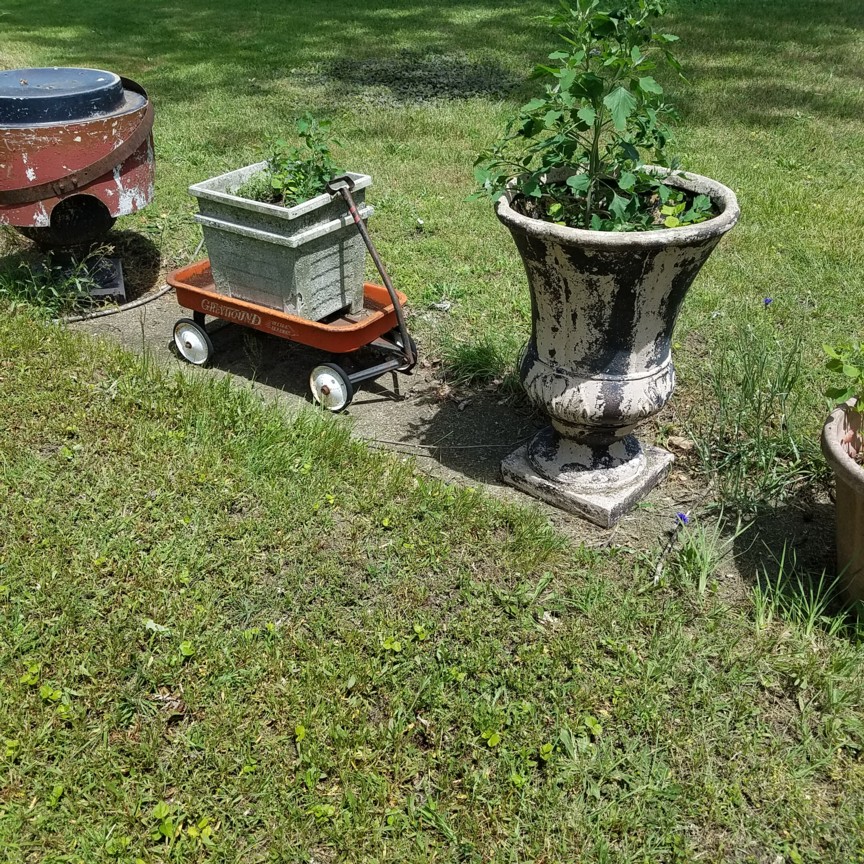 Auction Photo