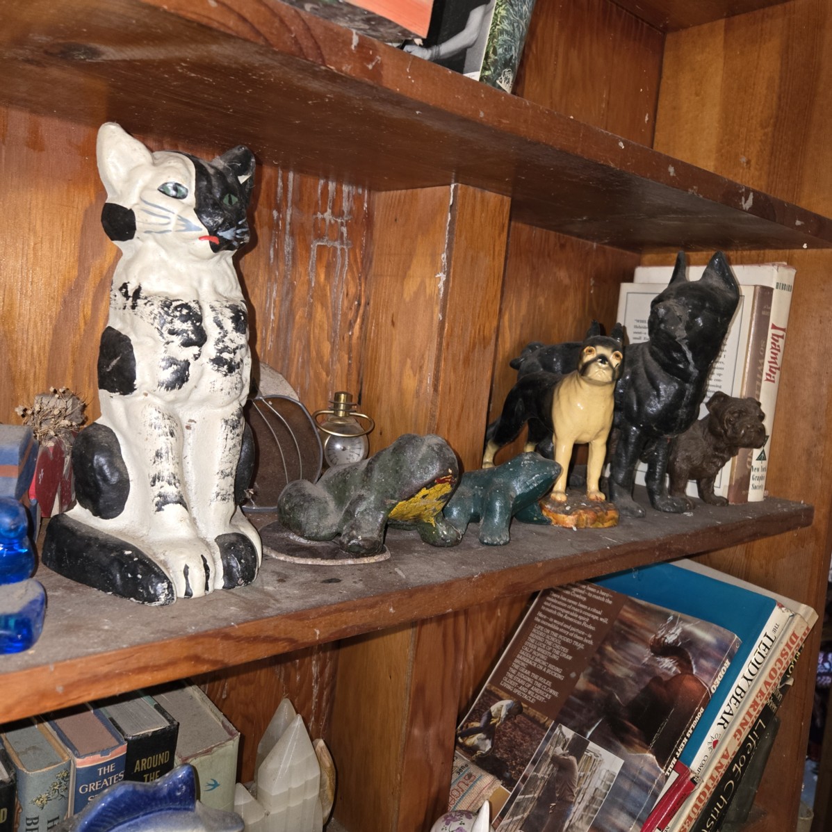 Auction Photo