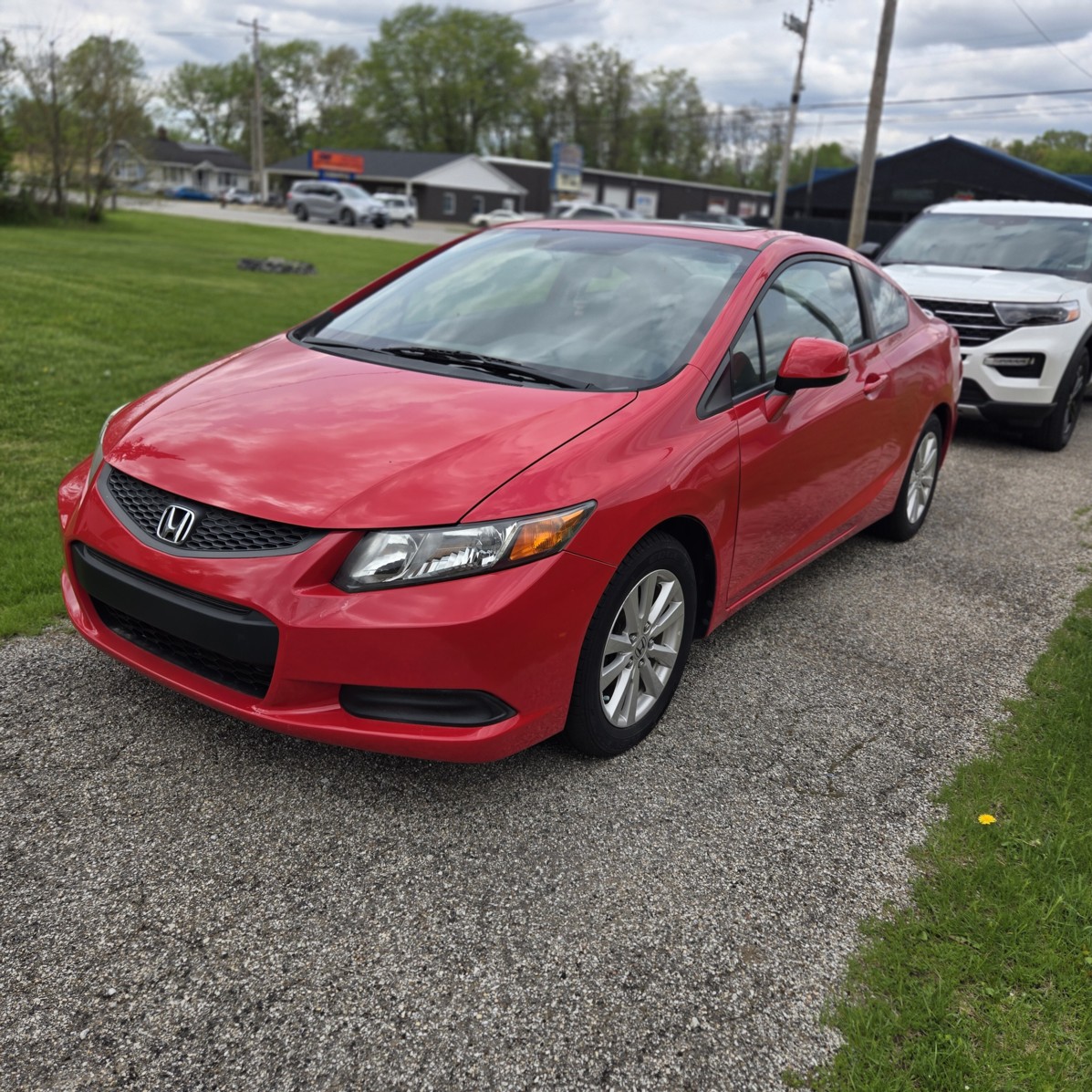 Auction Photo