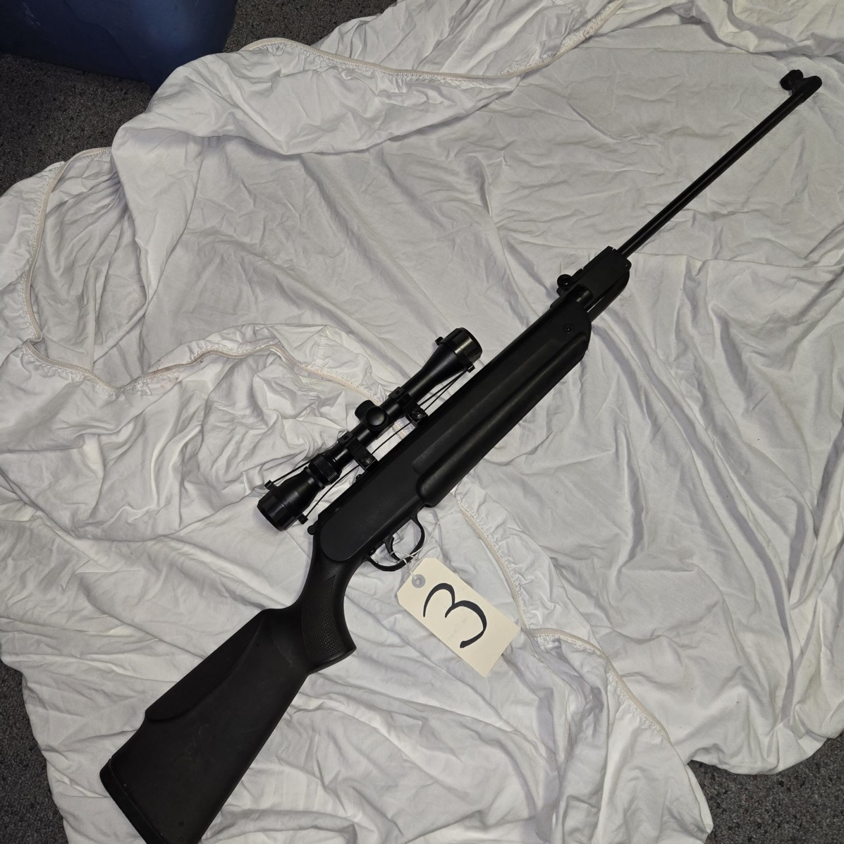 Auction Photo