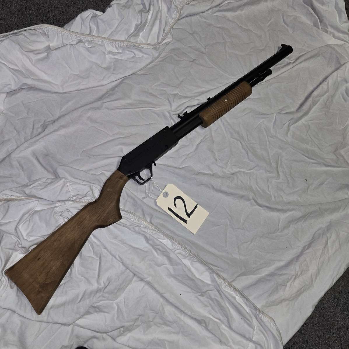 Auction Photo