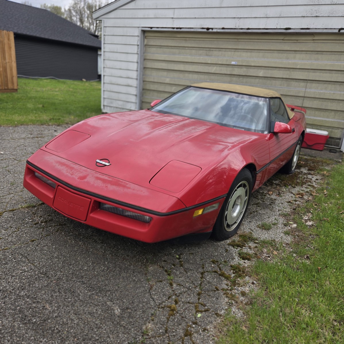 Auction Photo