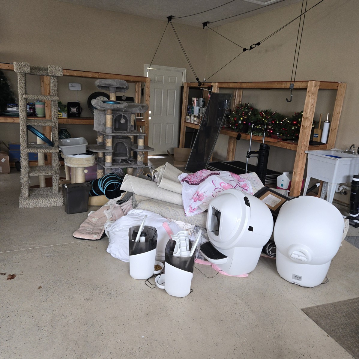 Auction Photo