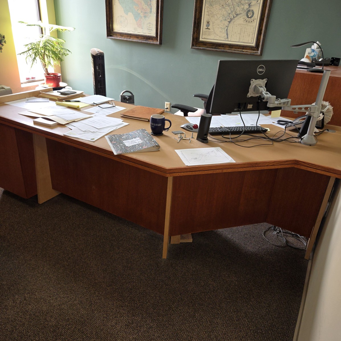 Auction Photo