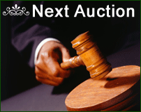 Next Auction